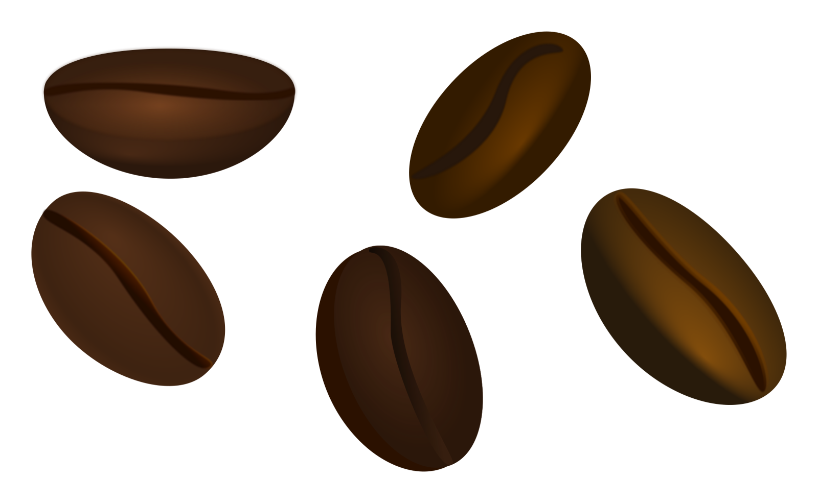 three coffee beans on a white background