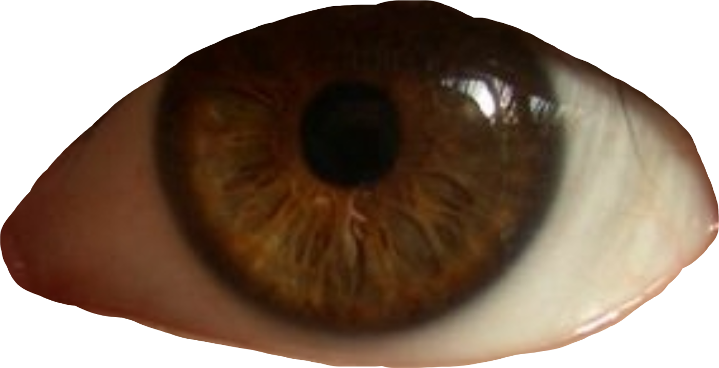 a close up view of an eye