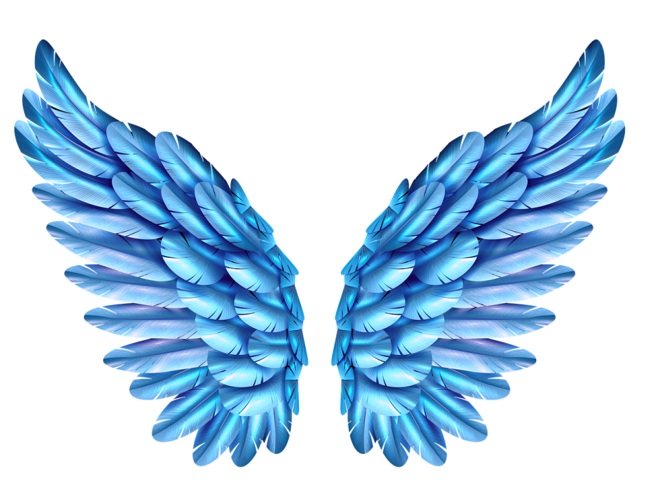 a pair of blue wings