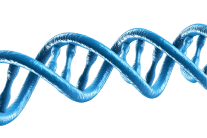 the structure of a dna molecule