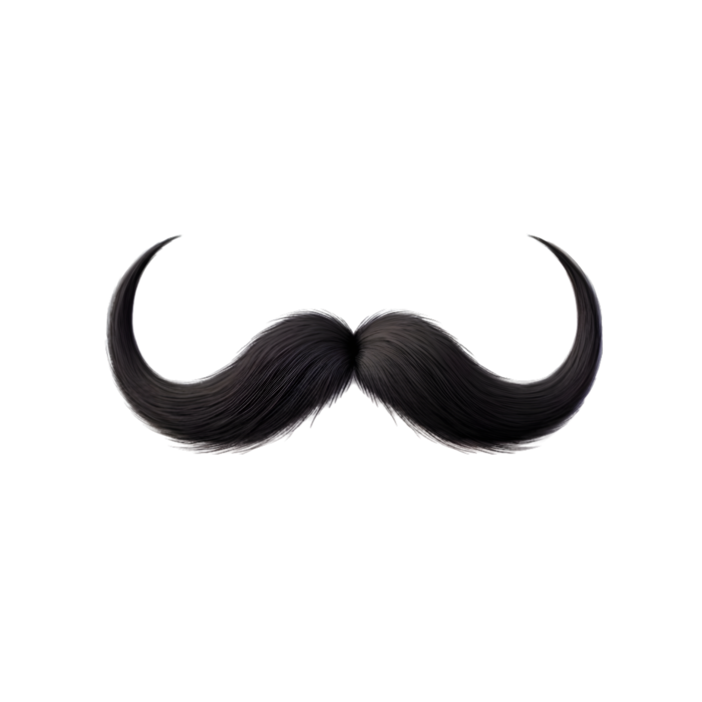a black mustache on a white background