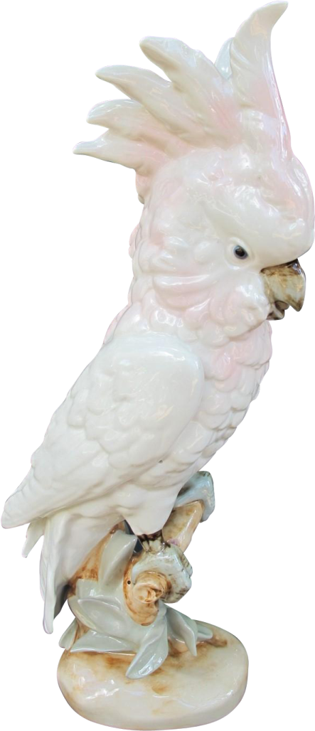 a white parrot sitting on top of a tree stump