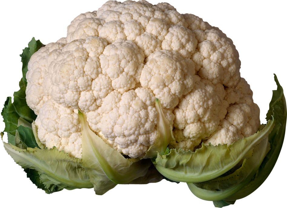 a close up of a head of caulide