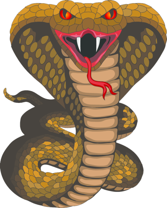 a snake with its mouth open and tongue out