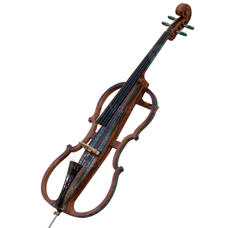 a violin on a white background