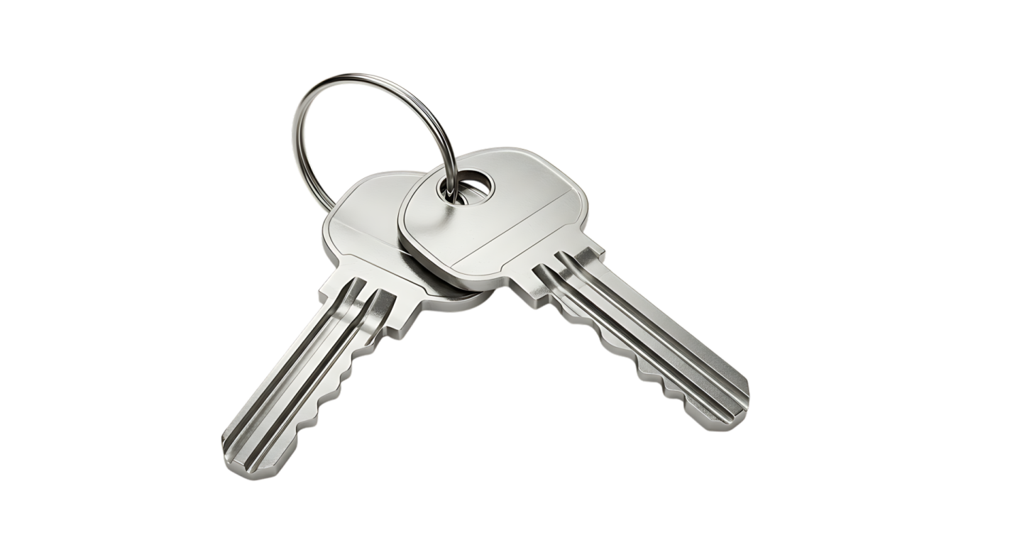 a bunch of keys on a white background