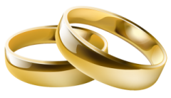 two gold wedding rings