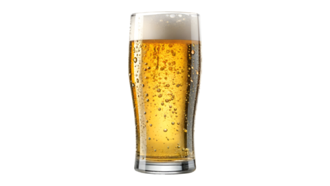 a glass of beer on a white background