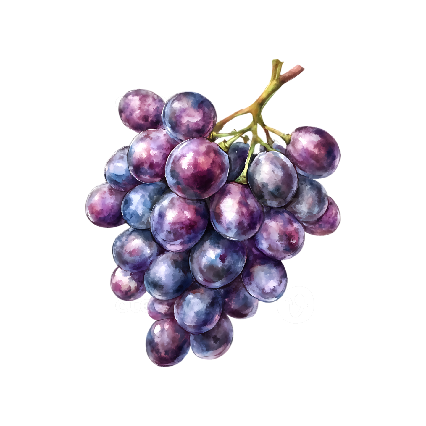 a bunch of grapes on a white background