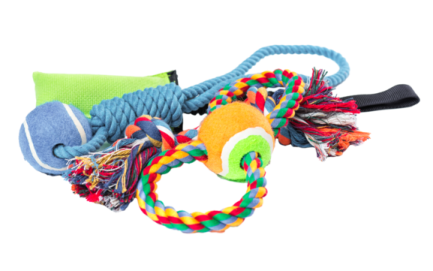a dog toy with a rope and a ball