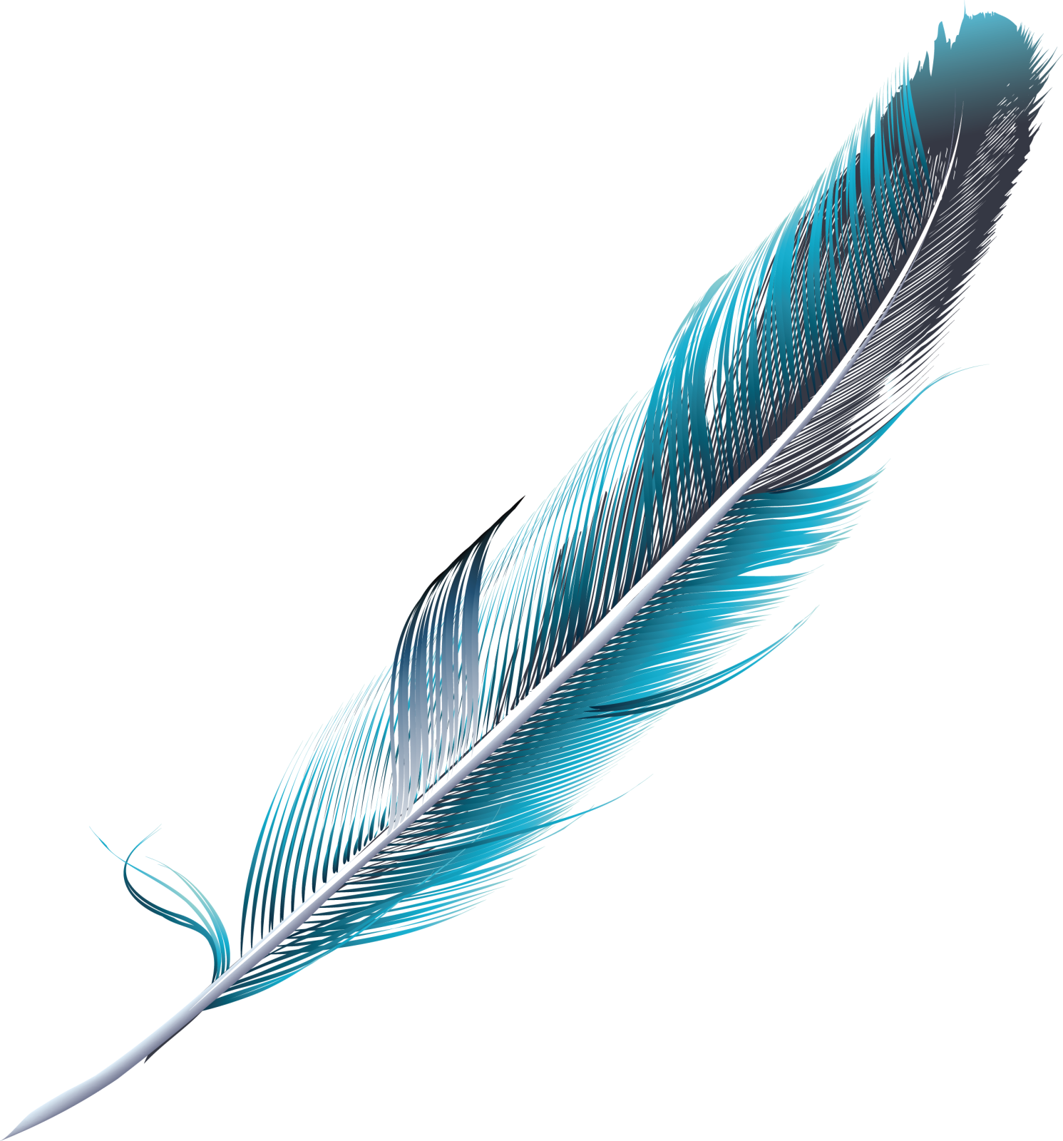 a blue feather on a white background