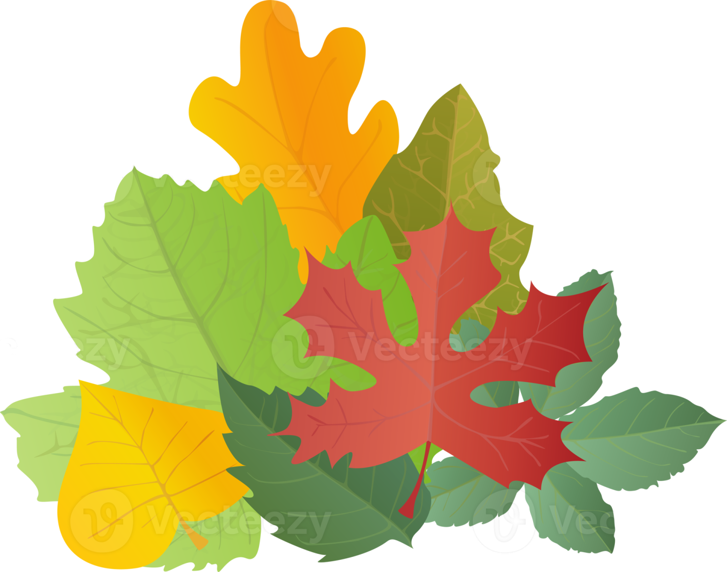 a bunch of colorful autumn leaves