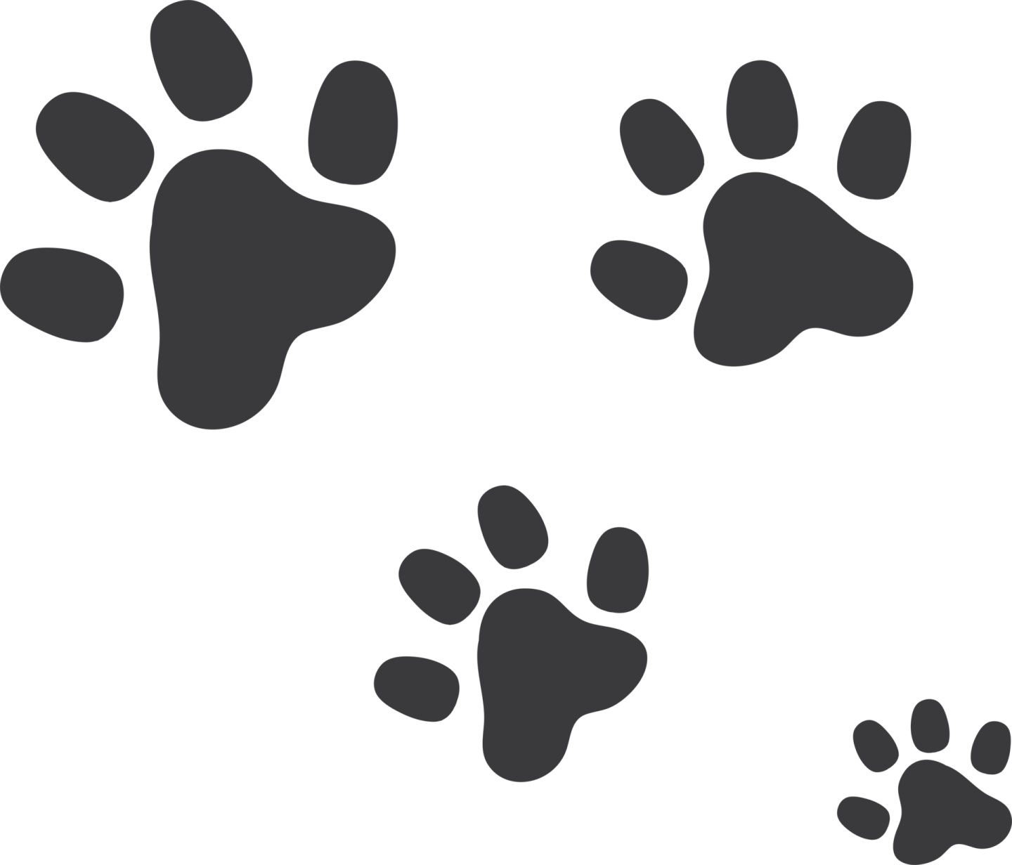 a set of four paw prints