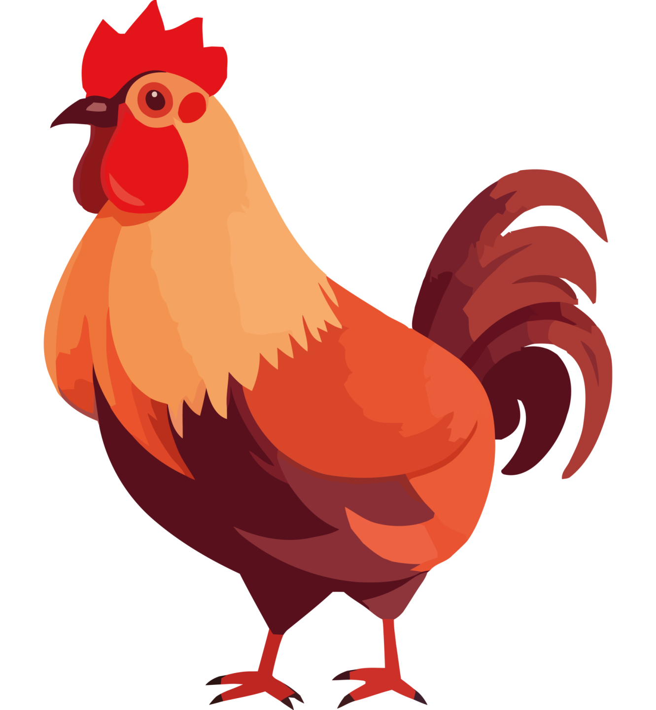 a chicken with a red comb on its head