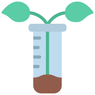 a plant in a test tube