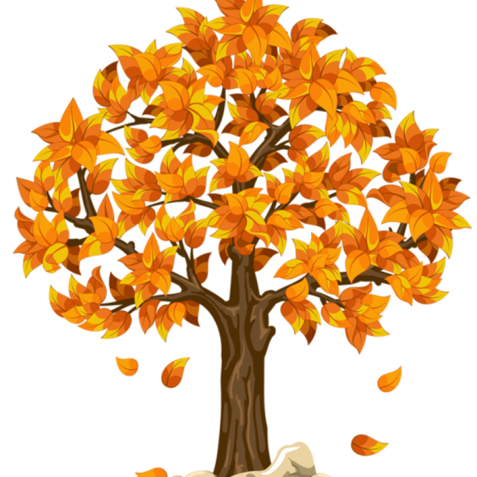 a tree with orange leaves on it