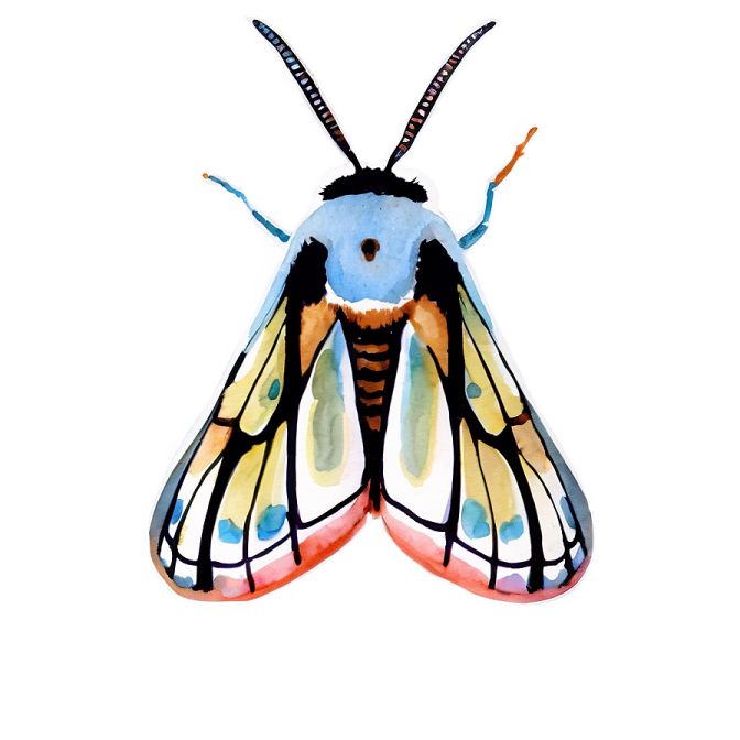 a watercolor painting of a moth