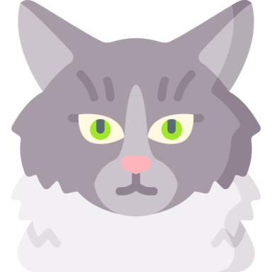a gray cat with green eyes