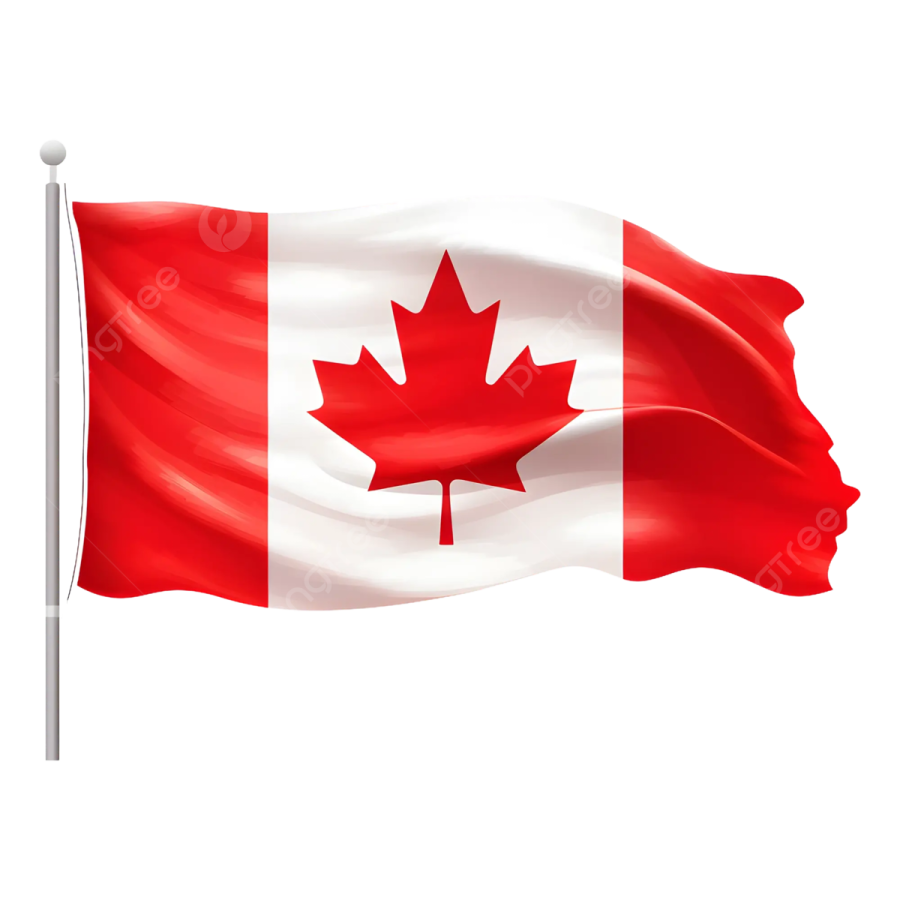 a canadian flag flying in the wind