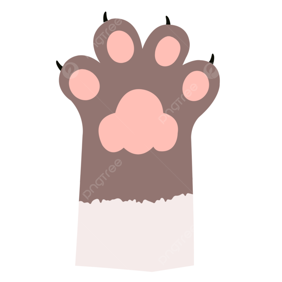 a brown bear paw on a white background
