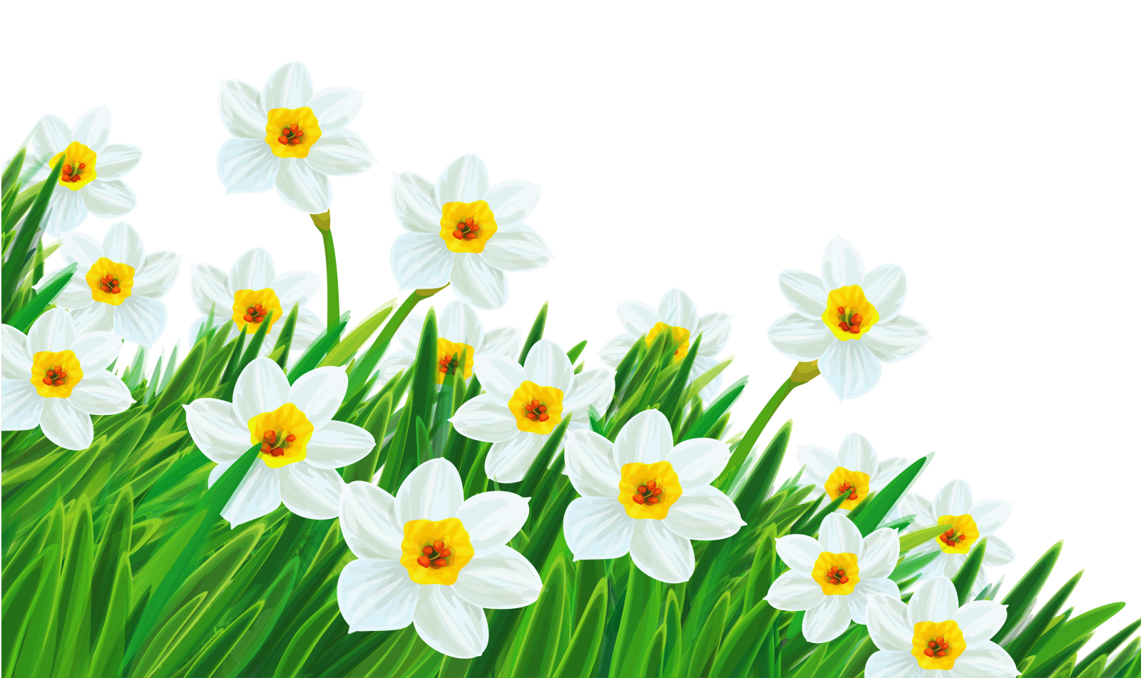 a bunch of white and yellow flowers on green grass
