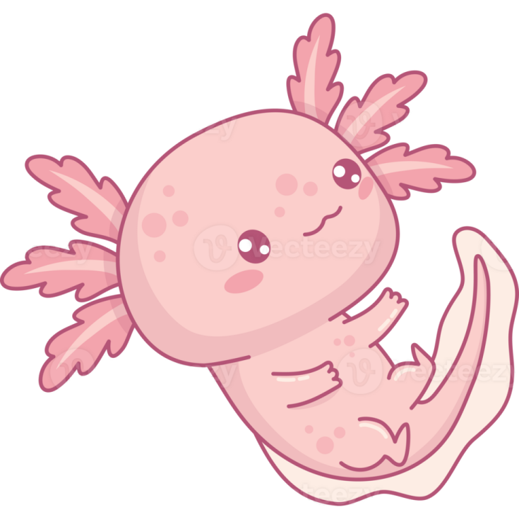 a pink baby in the shape of a fish