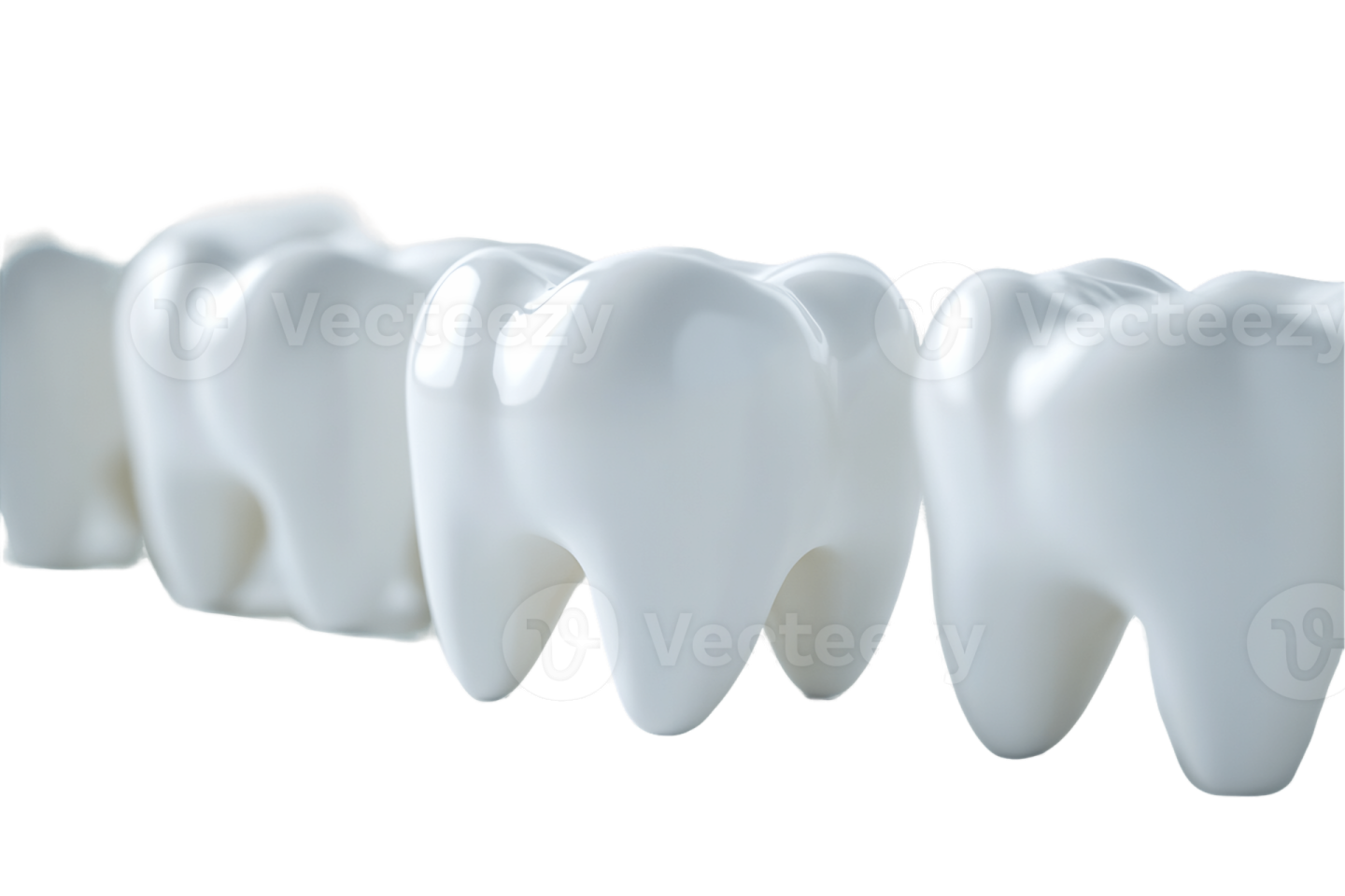 a row of teeth on a white background