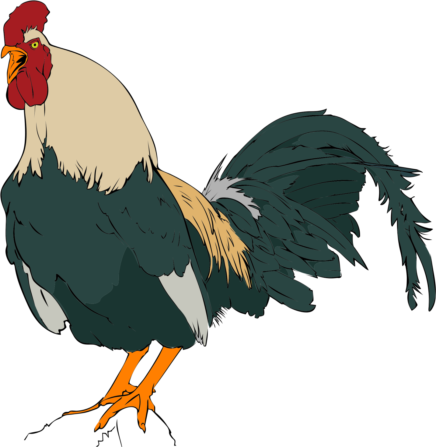 a rooster with a red head and yellow legs