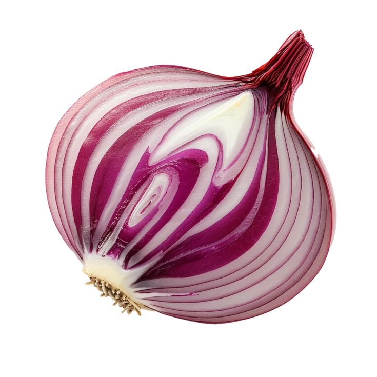 an onion cut in half on a white background