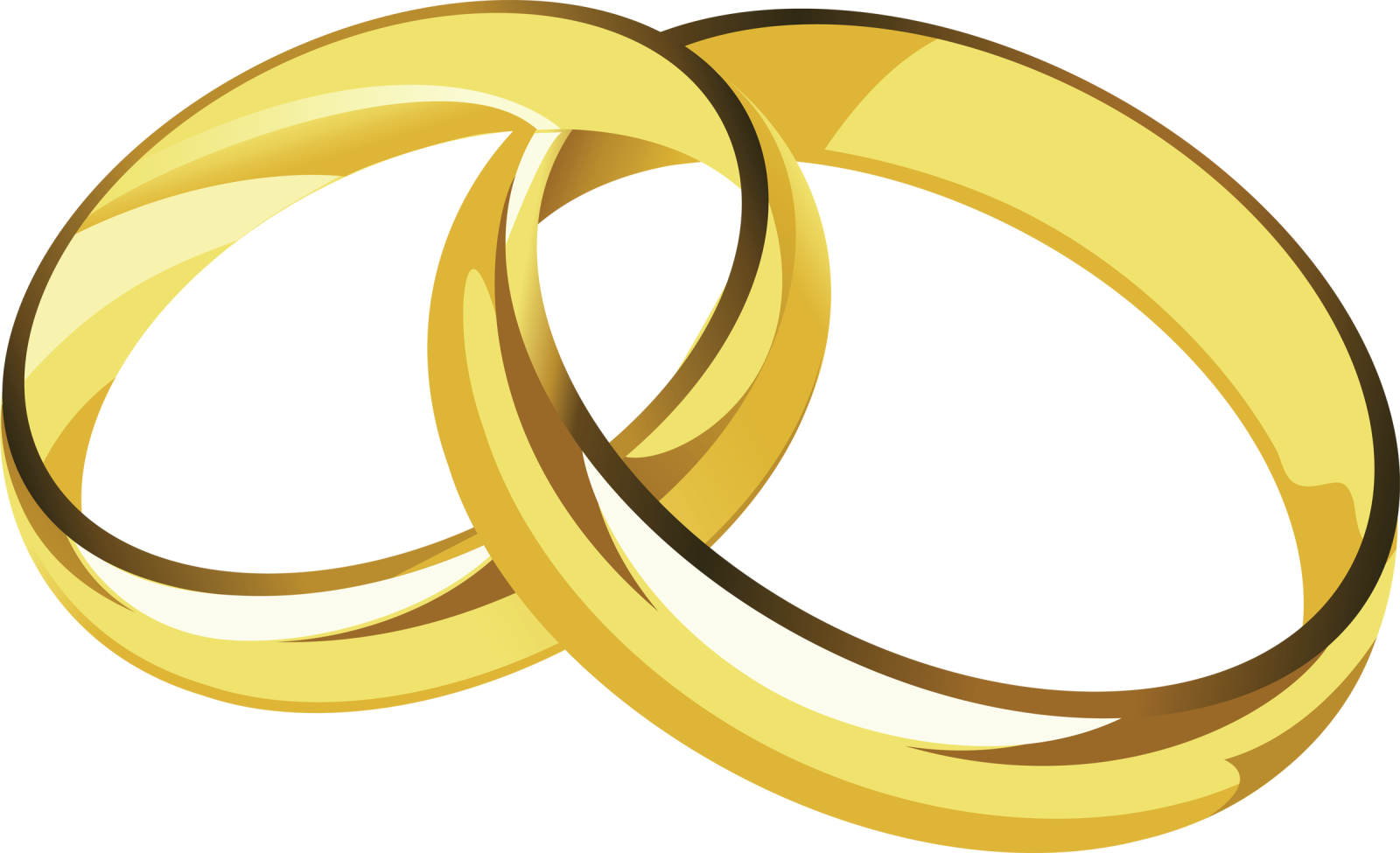 a pair of gold wedding rings