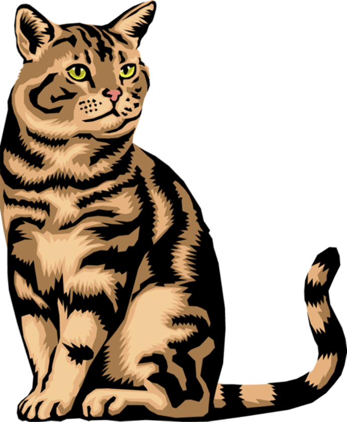 a brown and black cat sitting down