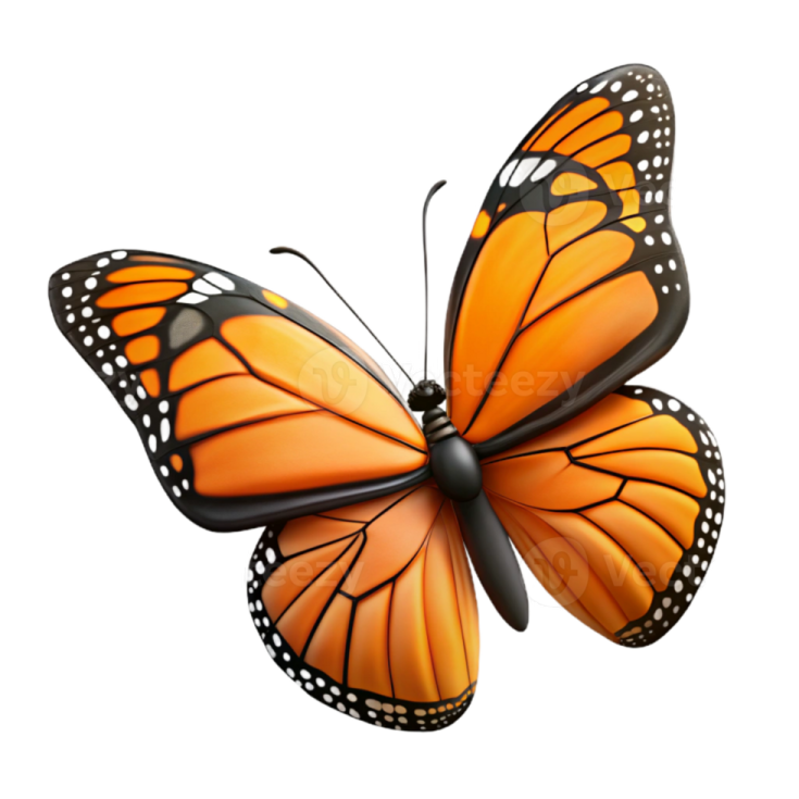 a monarch butterfly on a white background
