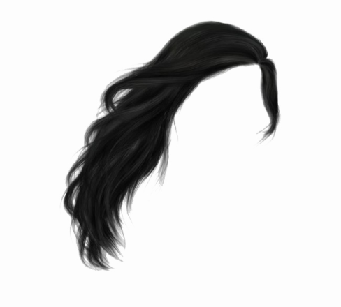 a drawing of a woman's hair