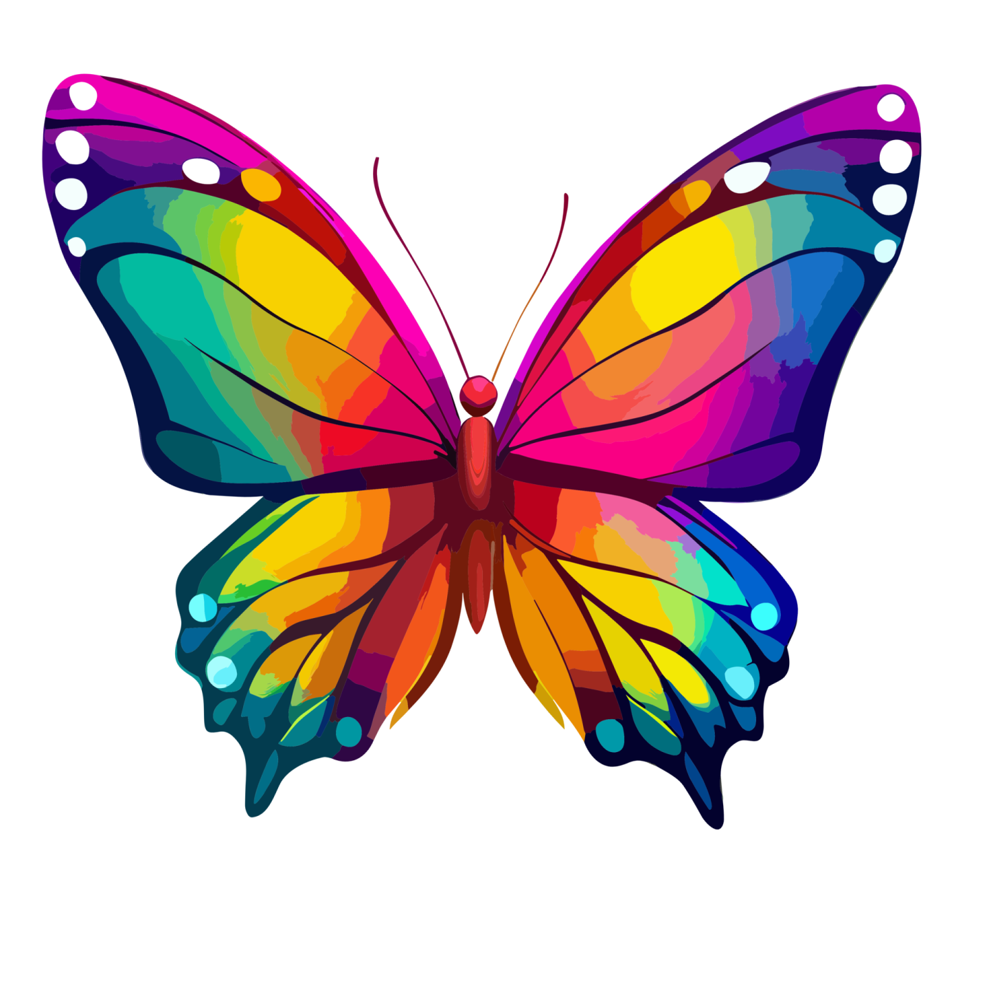 a colorful butterfly on a white background