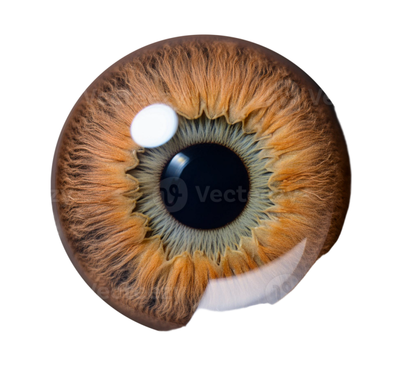 a close up of an eye with the pupil visible