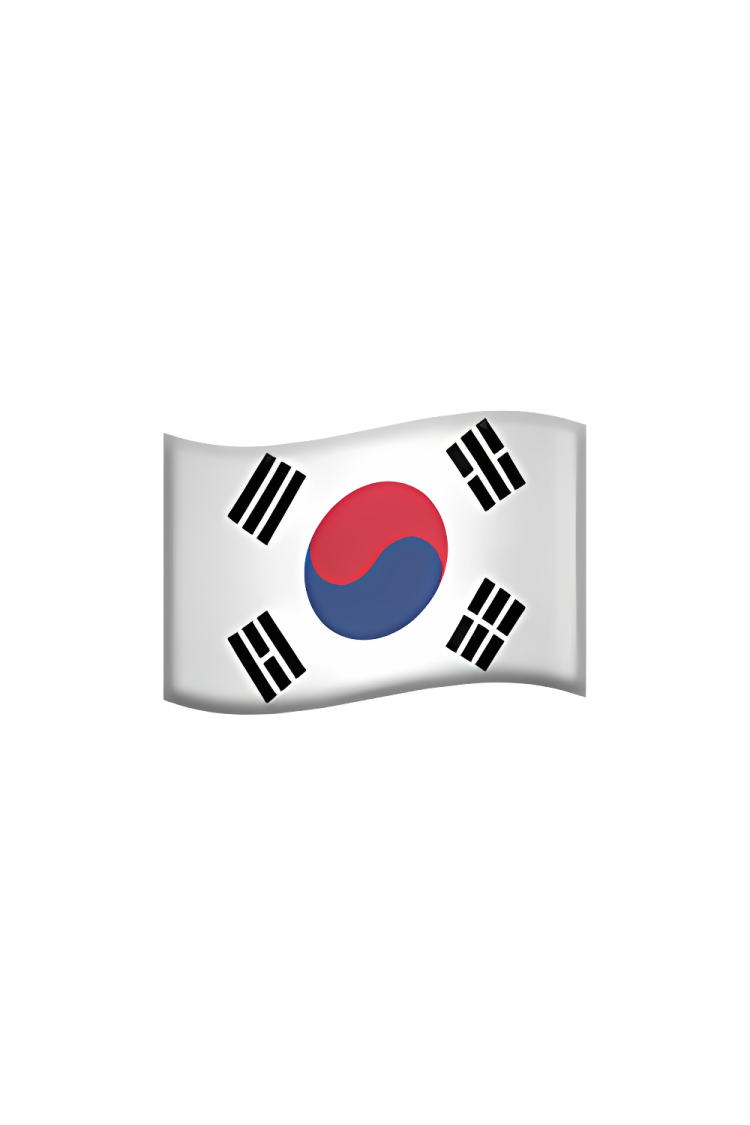 the south korean flag on a white background
