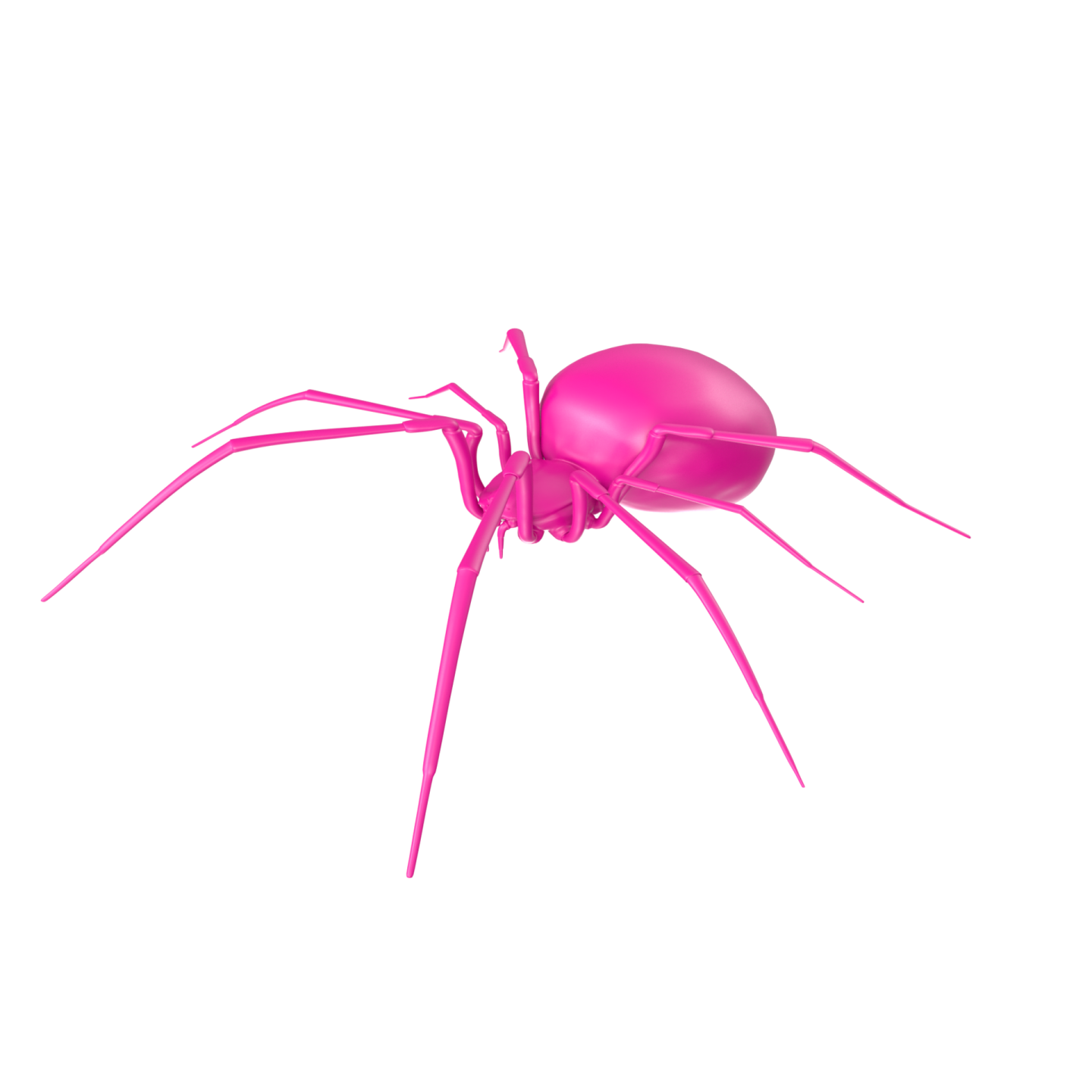 a pink spider on a white background
