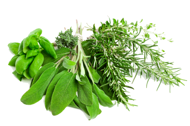 herbs on a white background