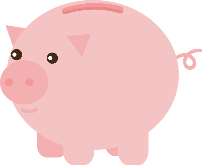 a pink pig on a white background