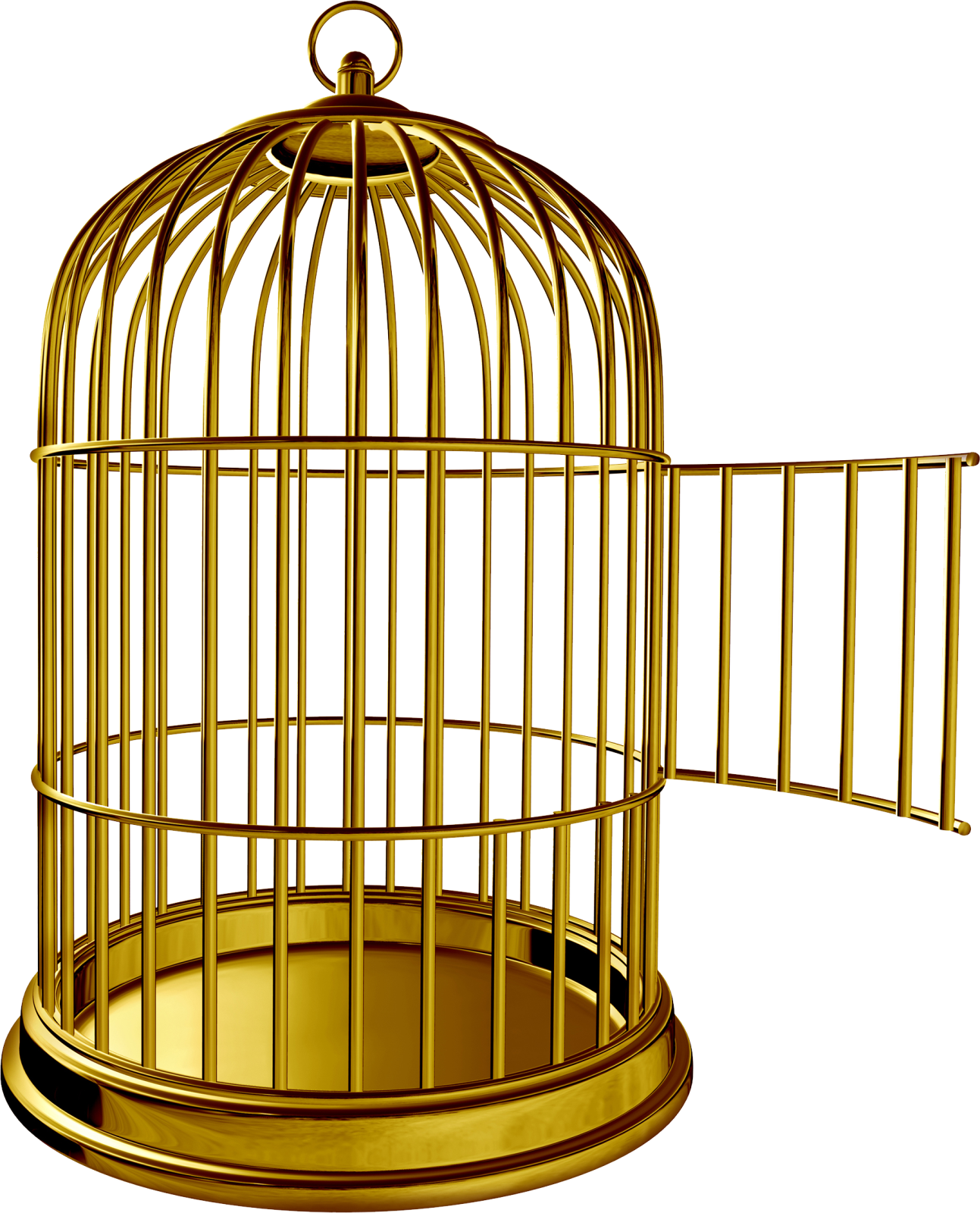 a bird in a cage on a white background