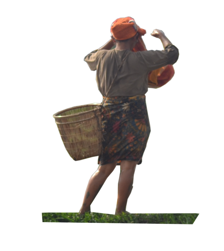 a woman carrying a basket in her hand