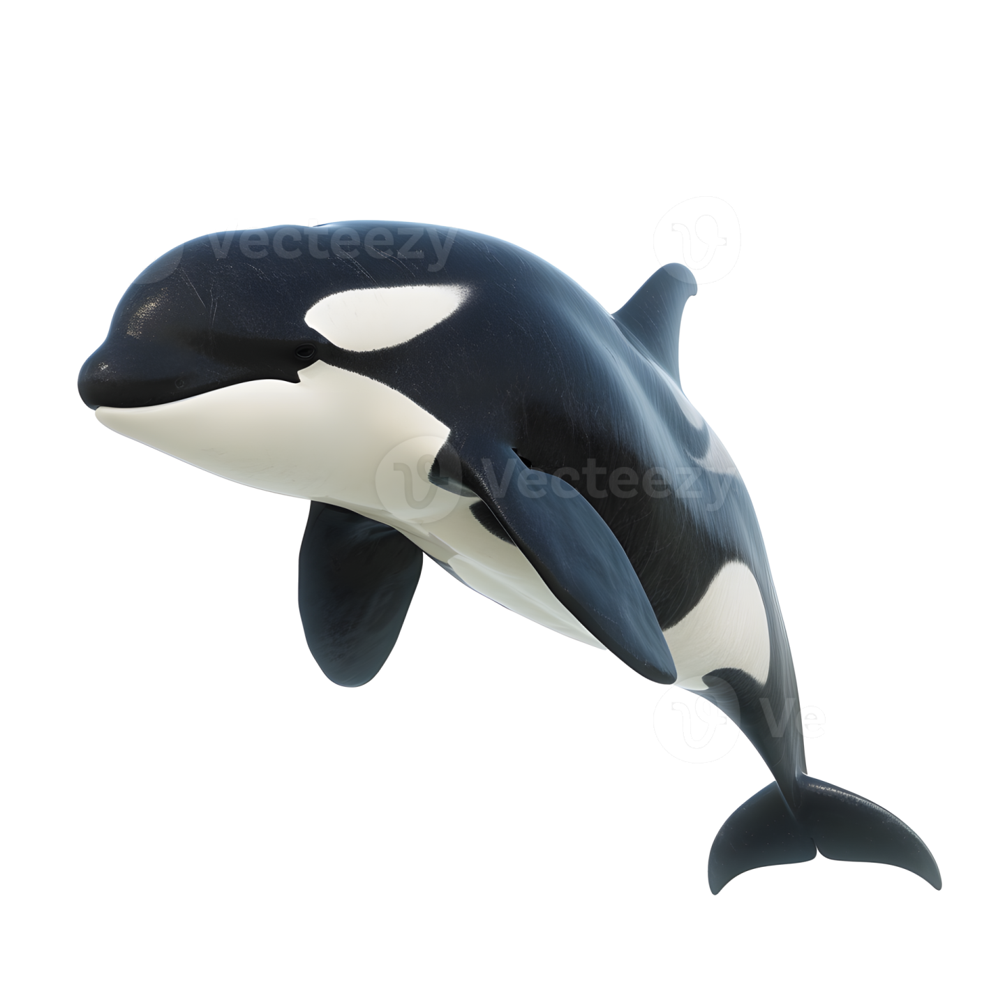 an orca jumping in the air