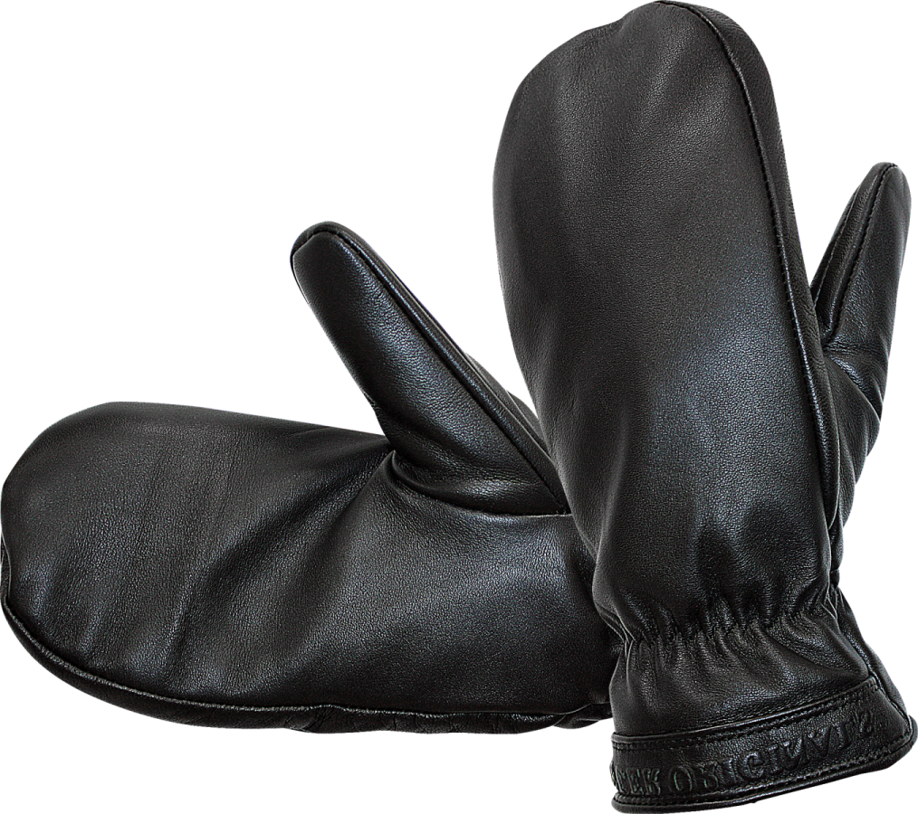 a pair of black leather gloves