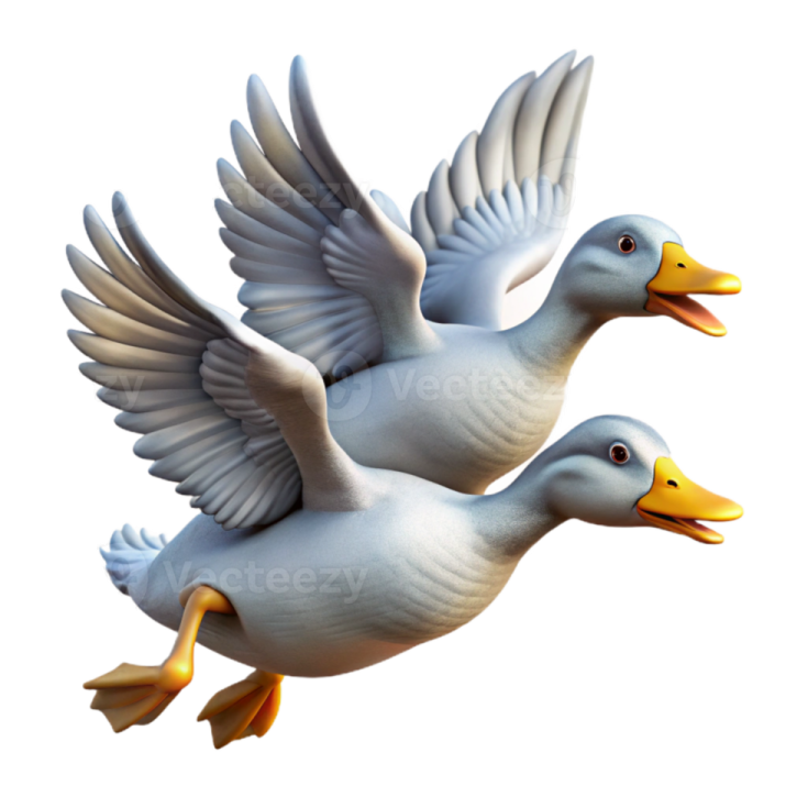 two white ducks flying in the air