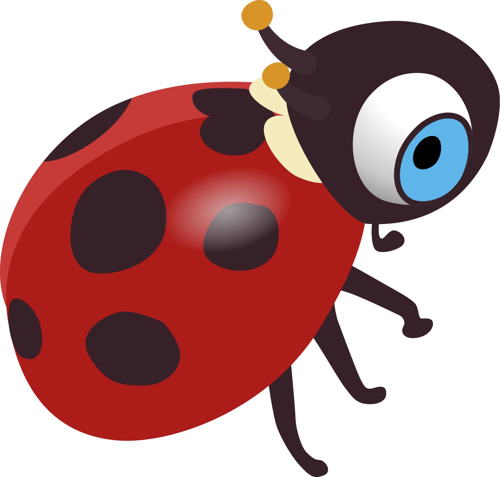 a ladybug with blue eyes and black spots