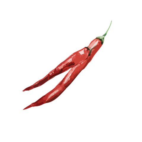 a red chili on a white background