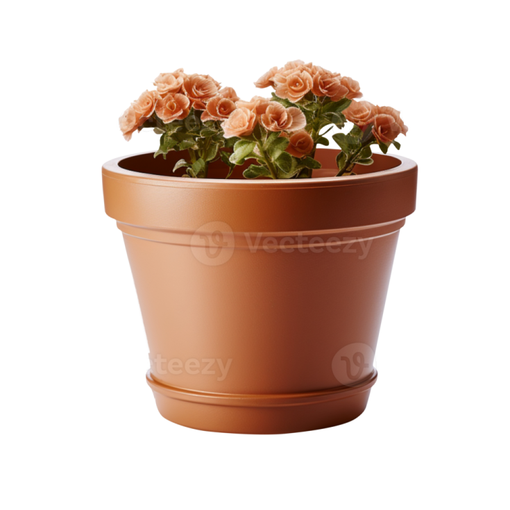 a flower pot with pink roses in it