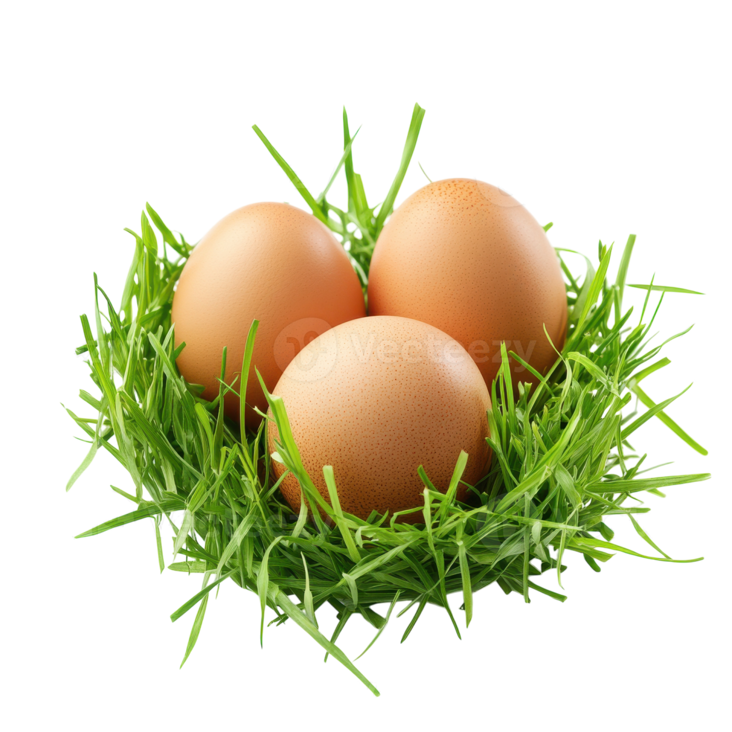 three eggs in the grass