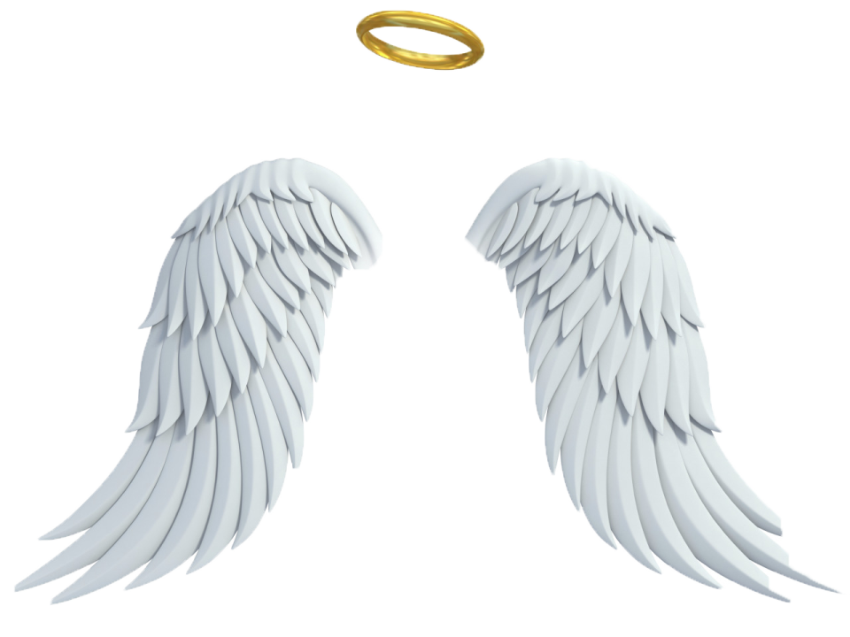 two white angel wings with gold halos