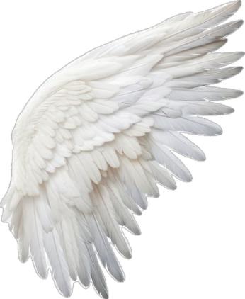 an image of a white angel wings